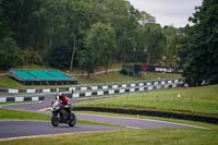 Middle Group Silver_Grey Bikes